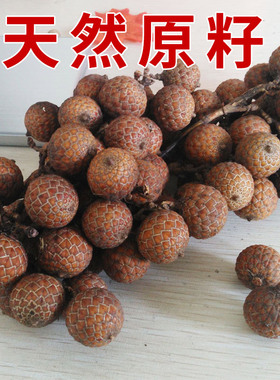 极速星月菩提手i串108颗佛珠手链海南籽正月顺白高密男女项链黑檀