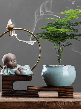 极速文竹盆栽植物办公室桌面绿植好养四季常青景观U竹子小盆景室