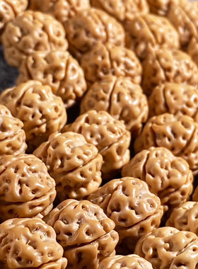 极速小金刚菩e提子花王手串项链108颗梅花桩树神 爆肉原籽佛珠野