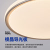 Pasha full spectrum ceiling light bedroom living room dining room light