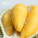 Malaysia imports whole Musang King durian fruit