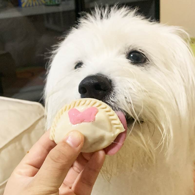 宠物狗狗年夜饭水饺比熊约克夏吃的饺子过年新年春节鸡鸭牛肉零食-图3