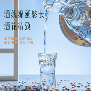 西凤52度品鉴装纯粮酿造500ml*1瓶装