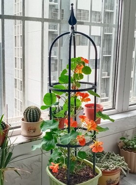 月季爬藤架植物攀爬架包塑钢管花架铁线莲支撑杆飘香藤玫瑰花支架