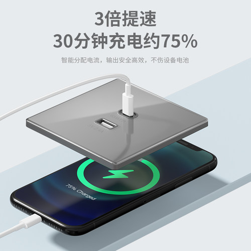 国际电工Type-C插座面板五孔带USB苹果手机PD快充插座墙壁86型 - 图1