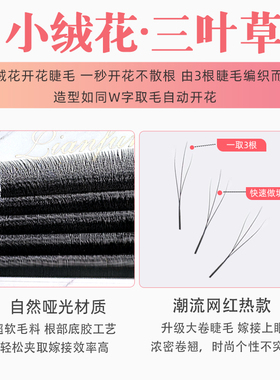 恋夫人小绒花三叶草不散根