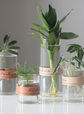创意透明玻璃花瓶北欧简约皮革玻璃花器家居插花摆件水培植物花瓶