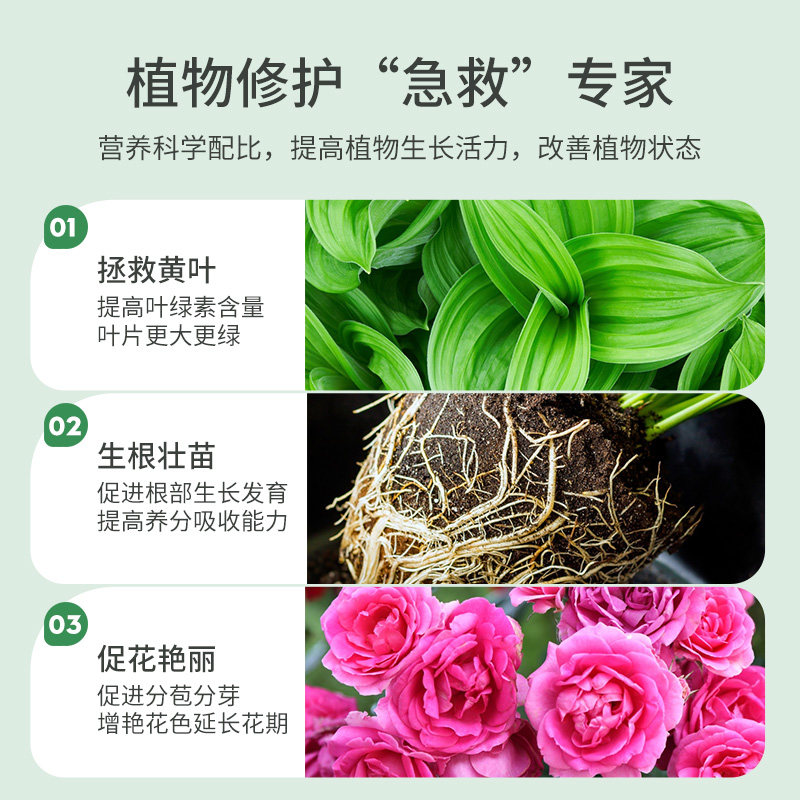 施可丰营养液植物通用型花肥盆栽水培发财树富贵竹专用绿植养花卉,淘宝优惠券,粉丝福利购,淘宝优惠卷