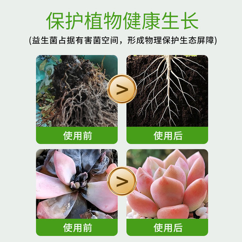 施可丰微生物菌剂月季花卉绿植养花通用型盆栽植物杀菌肥料菌菌净 - 图2