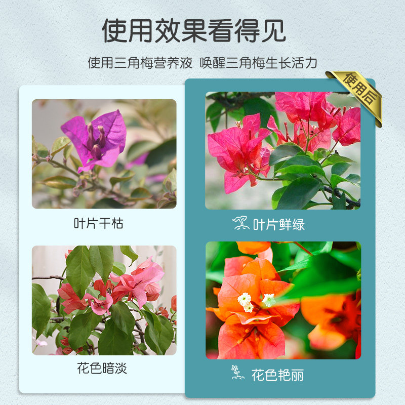 施可丰营养液三角梅专用肥花肥开花室内缓释肥品质活力斤装专业料,淘宝优惠券,粉丝福利购,淘宝优惠卷