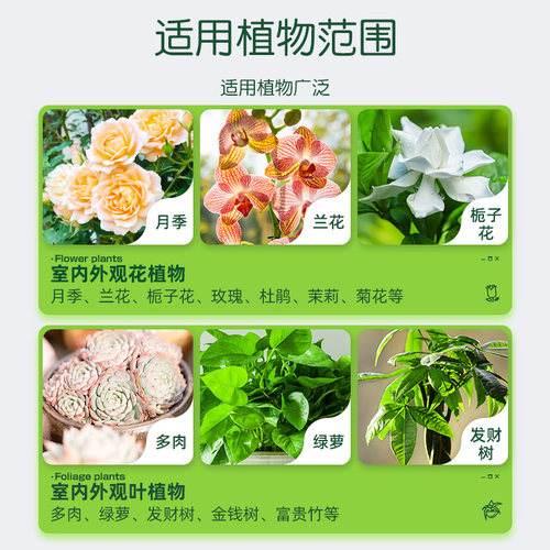 施可丰缓释肥颗粒通用型复合肥兰花多肉花卉专用肥料家用盆栽花肥 - 图3