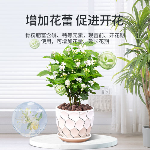 施可丰园艺骨粉花肥料有机肥种菜高磷促花盆栽植物钙肥养花专用肥 - 图0