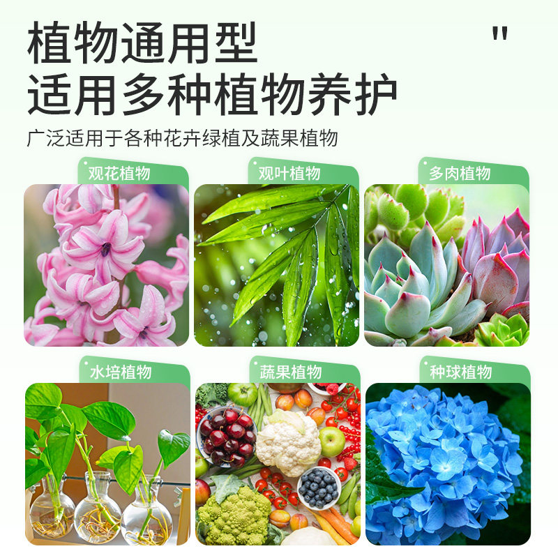 施可丰免稀释营养液植物通用型发财树富贵竹绿萝页面喷施盆栽肥料,淘宝优惠券,粉丝福利购,淘宝优惠卷