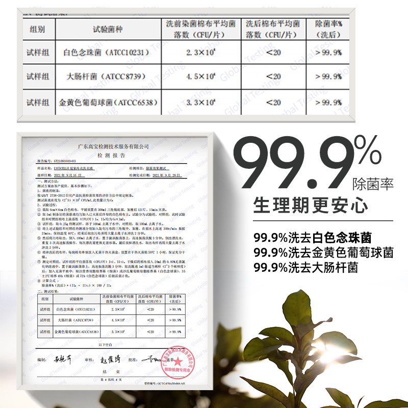 新西兰绽家白雪公主四小花旦洗衣液 绽家内衣洗衣液