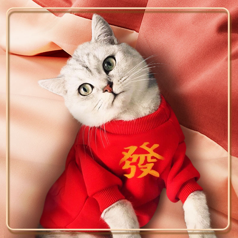 猫咪衣服宠物新年装拜年过年衣服秋装冬季防掉毛布偶狗狗加绒保暖-图0