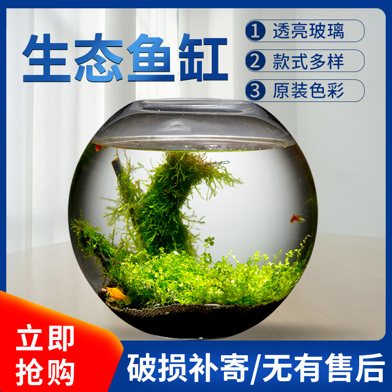 鱼缸客厅大型圆球形中小型桌面玻璃金鱼缸生态造景水族箱家用招财-图1