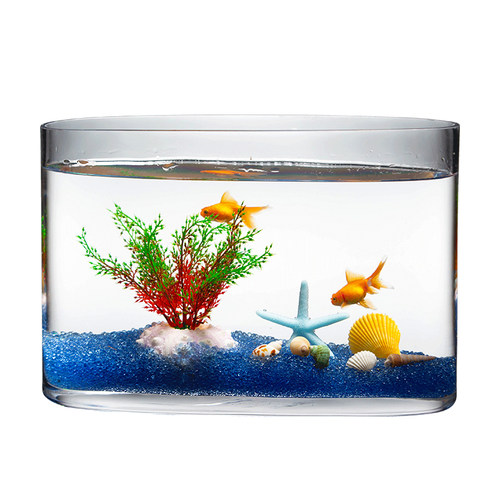 椭圆口玻璃鱼缸长方形客厅小型金鱼缸创意水族箱家用生态造景装饰 - 图3