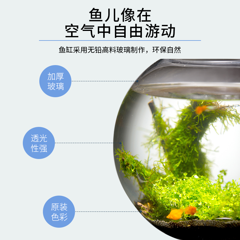 鱼缸客厅大型圆球形中小型桌面玻璃金鱼缸生态造景水族箱家用招财-图3