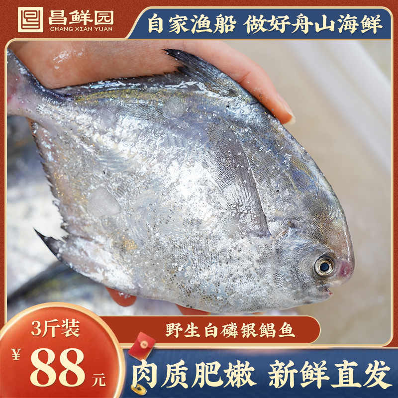 白花鱼 新人首单立减十元 22年4月 淘宝海外