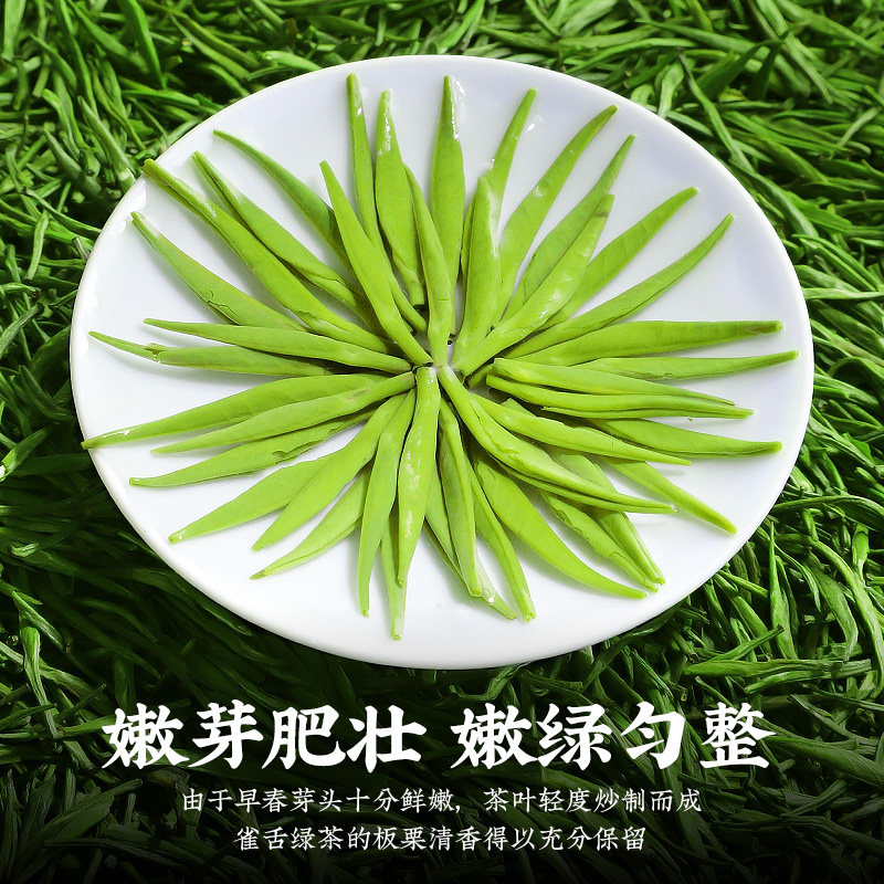 陈一凡雀舌茶500g绿茶茶叶贵州湄潭翠芽浓香型春茶散装自己喝的茶,淘宝优惠券,粉丝福利购,淘宝优惠卷