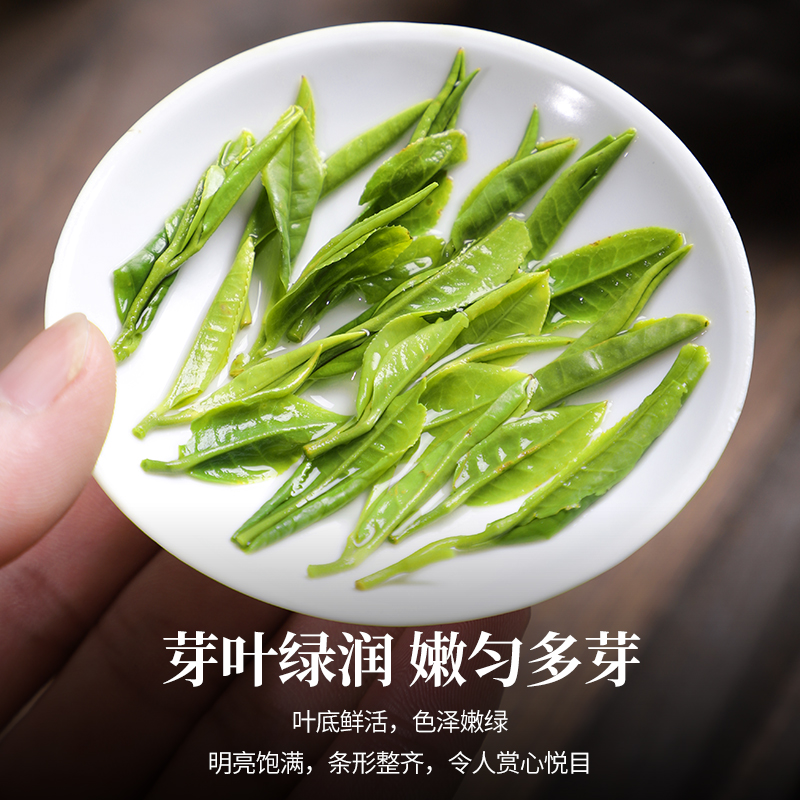 陈一凡黄山毛峰500g茶叶绿茶2023新茶毛峰茶春茶新茶徽茶散装 - 图3