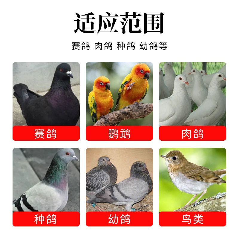 鸽用多维电解质赛鸽赛信鸽子补肝强肾专用排酸营养保健调理品专用