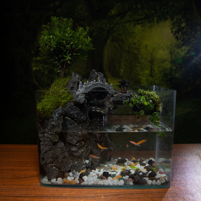 赤楠山水缸真绿植室内桌面生态水陆景观植物造景带流水过滤福建茶,淘宝优惠券,粉丝福利购,淘宝优惠卷