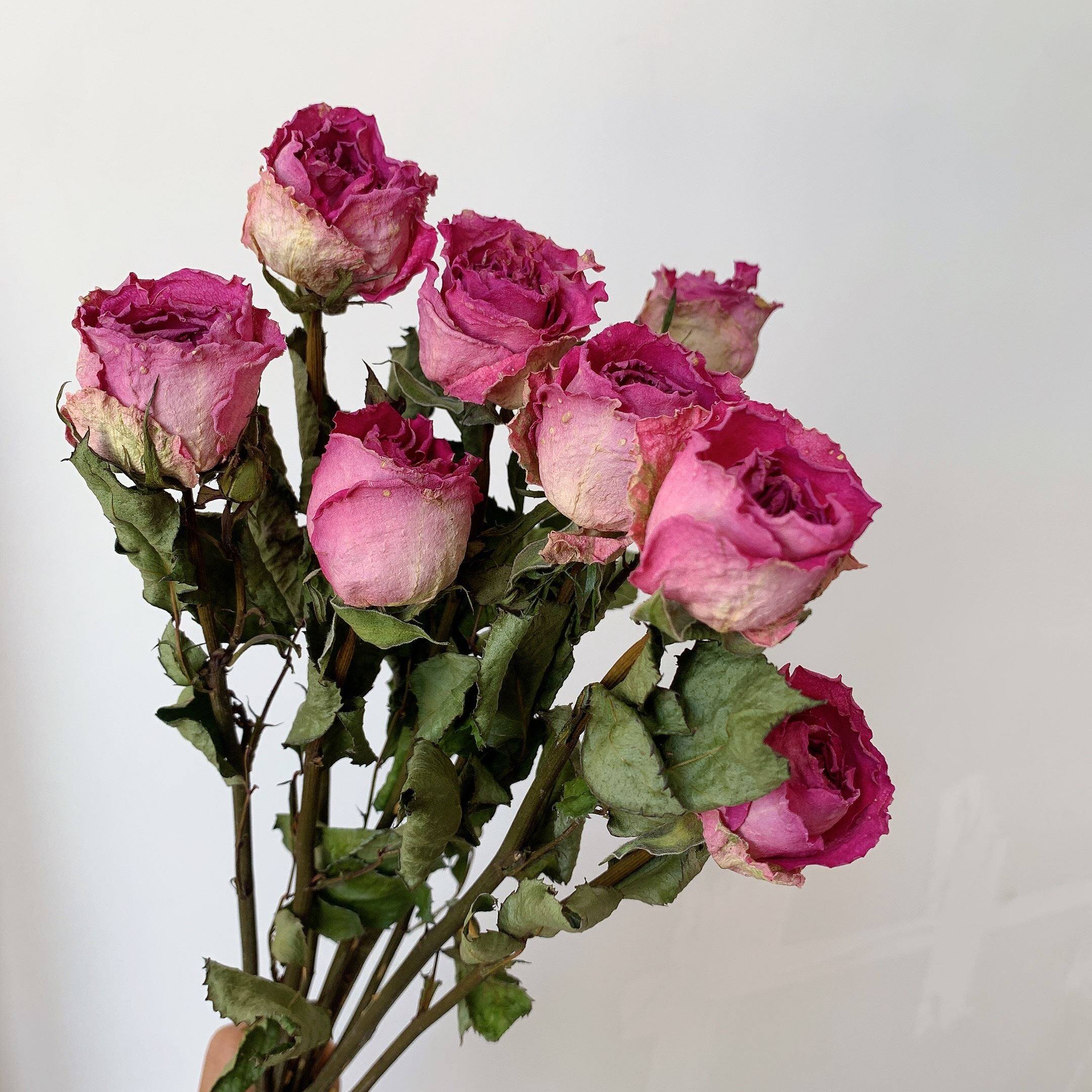 瑰干花花束真花风干ins网红装饰家居摆件diy文艺风插花拍摄道具.