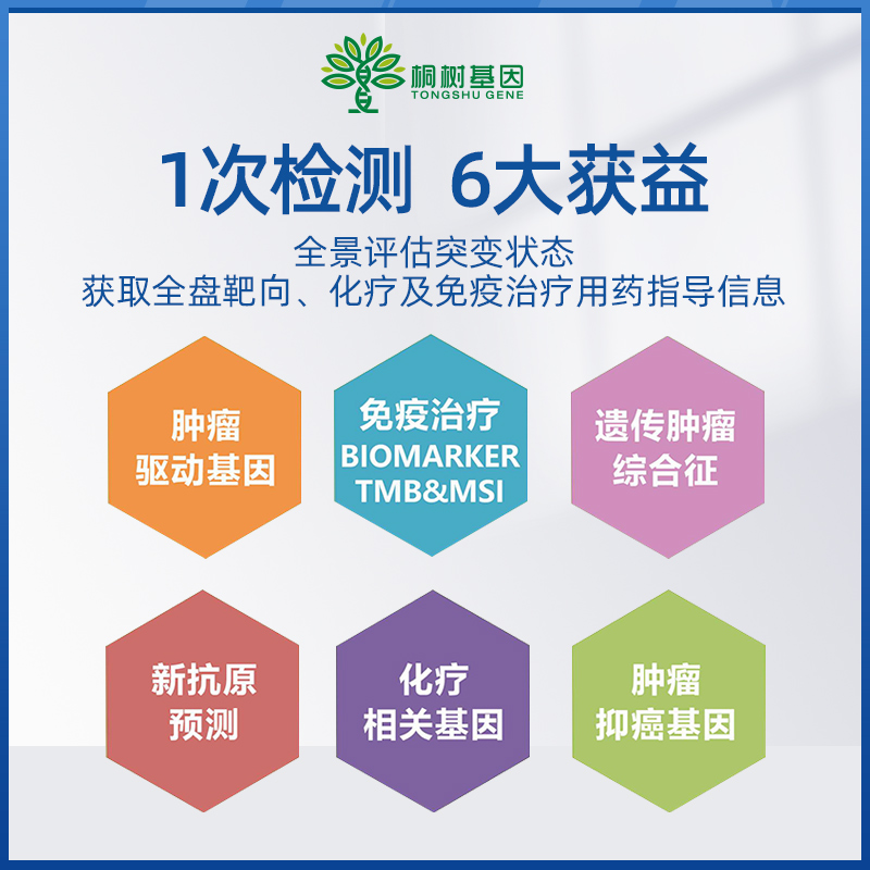 桐树生物 肿瘤热点全覆盖31种基因风险评估基因DNA检测居家自检 - 图1