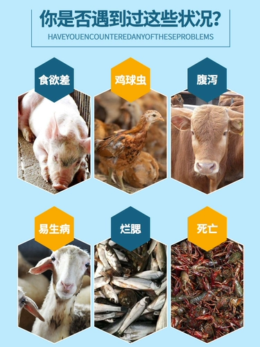 Tianyu Beasts использует добавки для корма для порошка кислорода и скот и овцы с закусками, водяными продуктами, бинзи, цыплятами, утки и гуси.