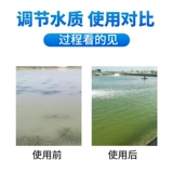 Биологическая модификация дна для рыб, креветок, крабов и рыбоводных прудов, модификация дна аквакультуры, очистка воды, разложение остатков приманки, разложение аммиачного азота и удаление нитритов.