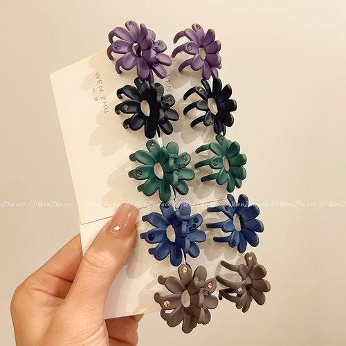 时尚迷你小抓夹女2025新款发卡子发夹气质刘海侧边夹子头饰小发卡 - 图0