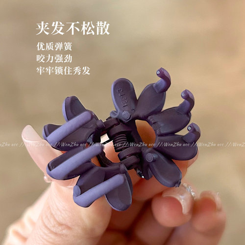 时尚迷你小抓夹女2025新款发卡子发夹气质刘海侧边夹子头饰小发卡 - 图2