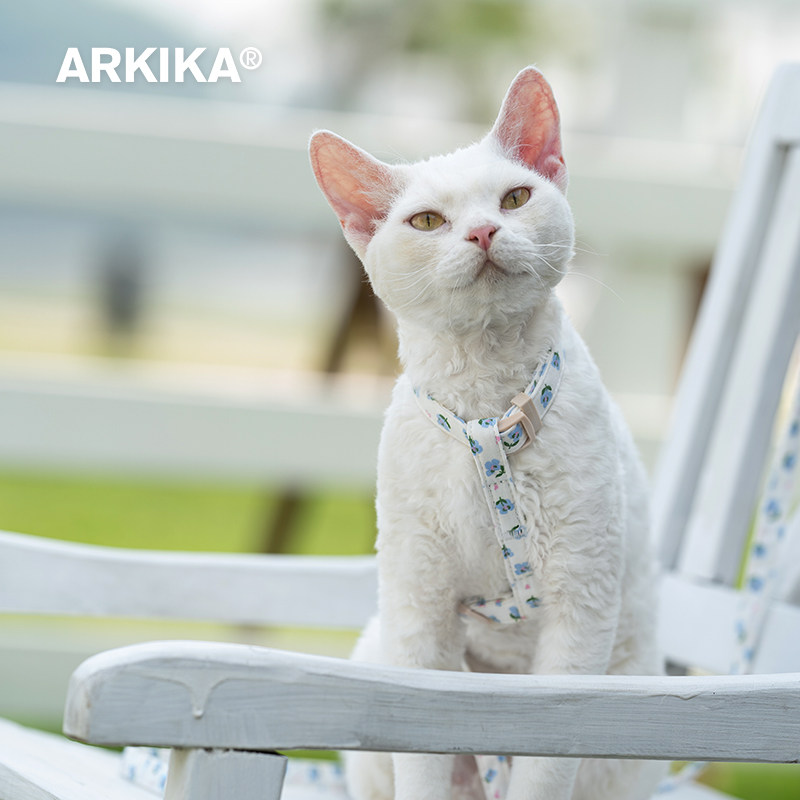 ARKIKA工字型猫咪牵引绳防挣脱外出专用不勒脖可调节遛小幼猫背带,淘宝优惠券,粉丝福利购,淘宝优惠卷