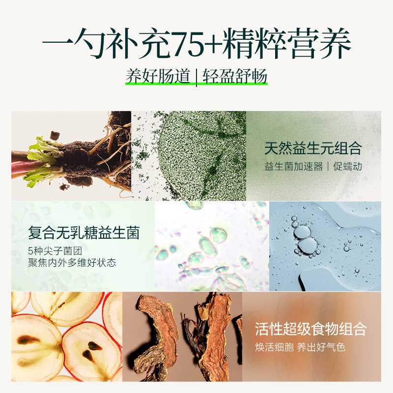 【10天体验装】 AG1小绿粉膳食营养粉含益生菌复合维生素C辅酶Q10