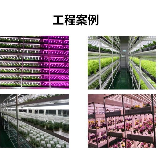 T8植物补光灯仿太阳全光谱LED组培灯多肉绿植蔬菜盆景育苗生长灯,淘宝优惠券,粉丝福利购,淘宝优惠卷