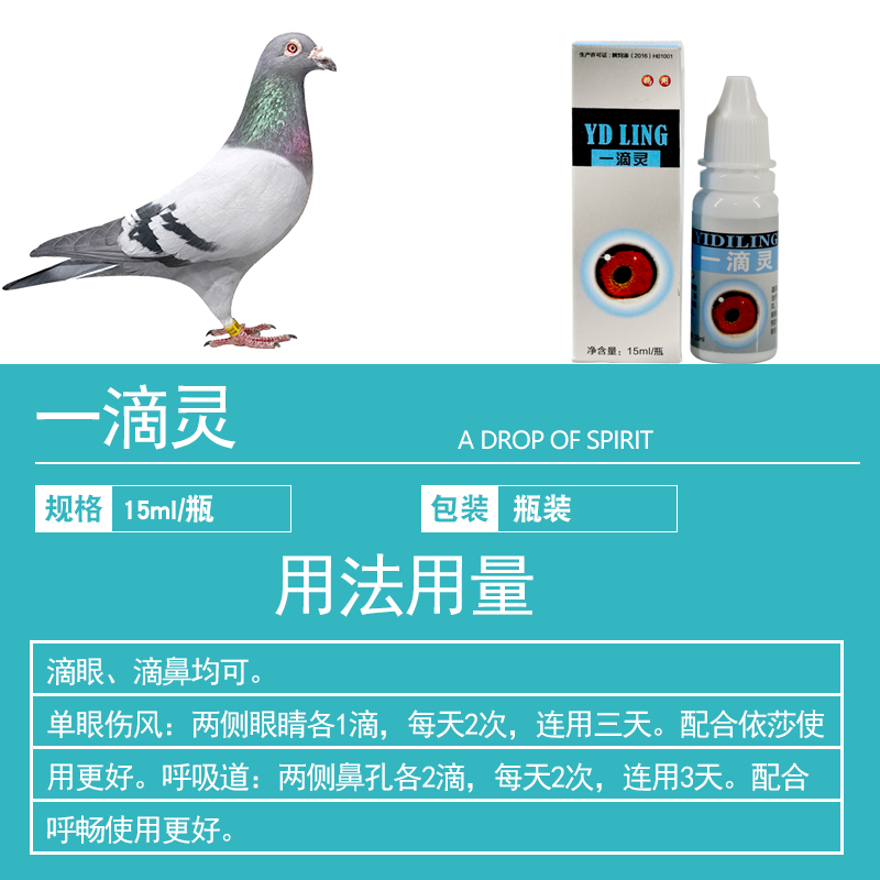 心连心鸽药鸽子鹦鹉鸟专用眼药水单眼伤风眼睛流泪红肿褪色一滴灵
