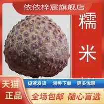 2023 New goods Guangdong Tite lychee dry glutinous rice branches Non-chicken mouth Lai Gui flavor 500g large meat thick nuclear small