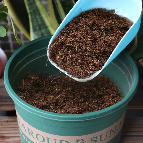 V Кокосовый кирпичный пищевой кокосовый отруби, кокосовая раковина, цветок, многоадаленные звень