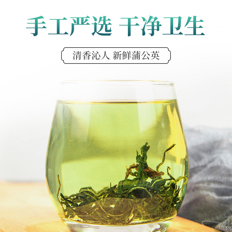 蒲公英茶正品精选婆婆丁优级女散装干货养生蒲公英根茶旗舰店 - 图2