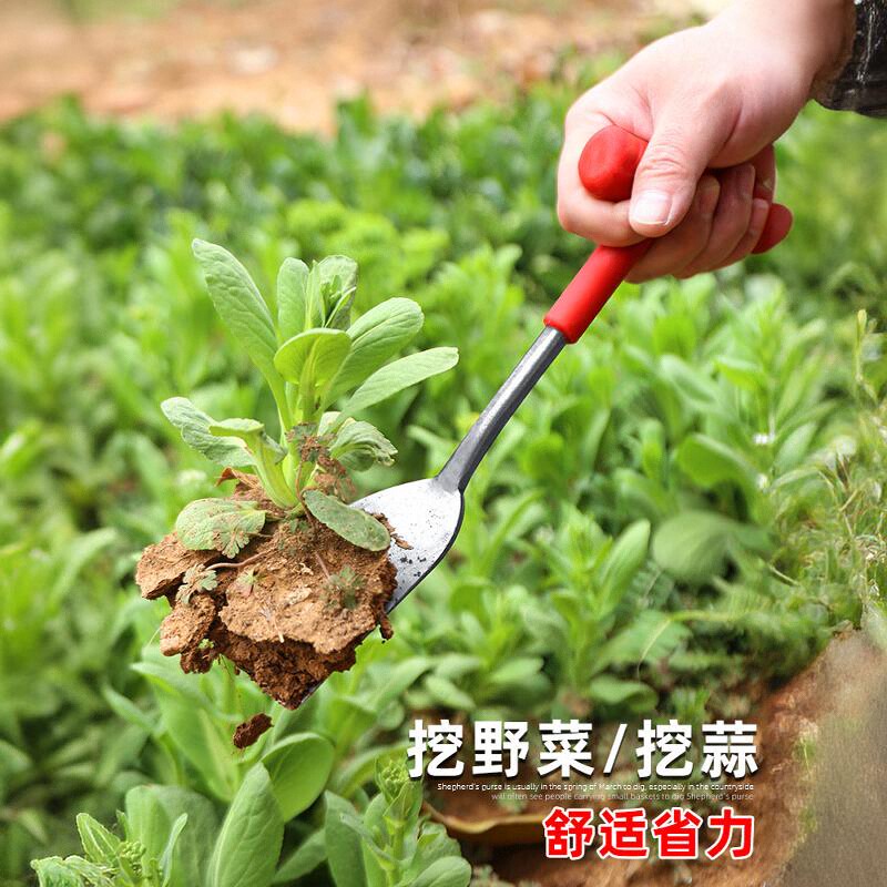 挖野菜神器蒜铲园艺挖土种菜起根除草工具户外采药材专用的小铲子-图3