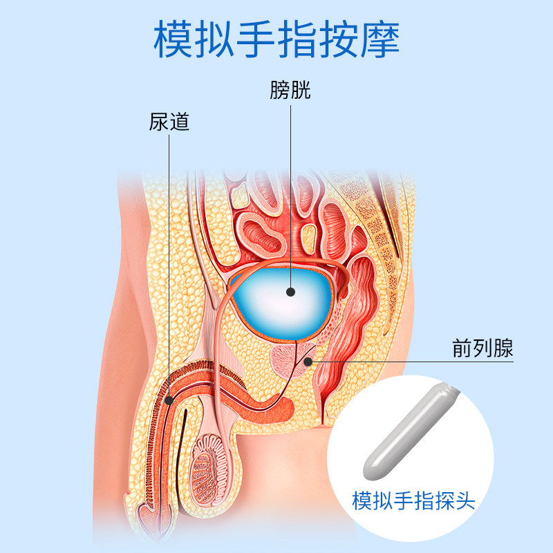 非凡前列腺治疗仪探头式按摩器 楷尔医疗器械理疗仪（器械）