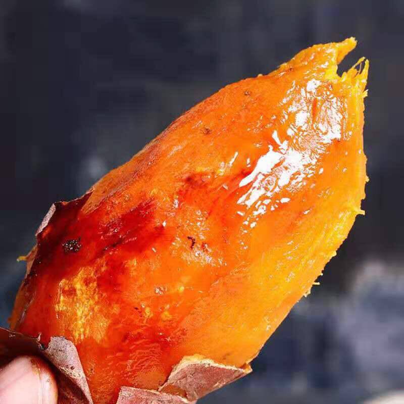 正宗东北沙地蜜薯整箱5斤小红薯 多富园番薯