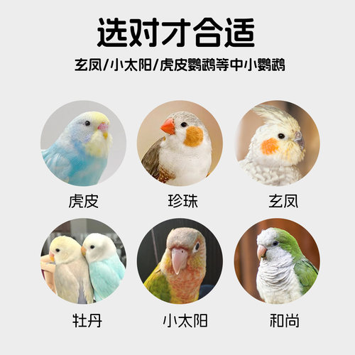鹦鹉躺椅小鸟沙滩椅玩具小太阳和尚牡丹玄凤虎皮解闷自嗨用品大全 - 图3