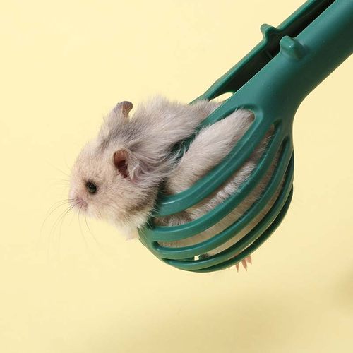 小仓鼠夹子遛抓仓鼠神器新手金丝熊造景用品玩具大全防咬手套儿童 - 图2