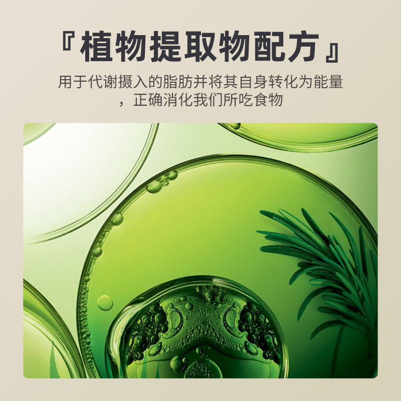  Vitobest海外左旋肉碱