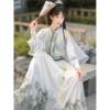 Original Hanfu 2026 New Shaoxia Song