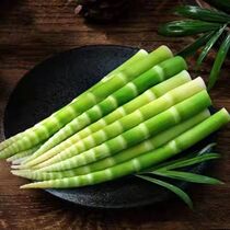 High Mountain Emerald Mogan Dry Mountain Green Shoots Fresh and small bamboo shoots Asparagus Farmhouse Homemade Shoots with Delicious Hot Pot