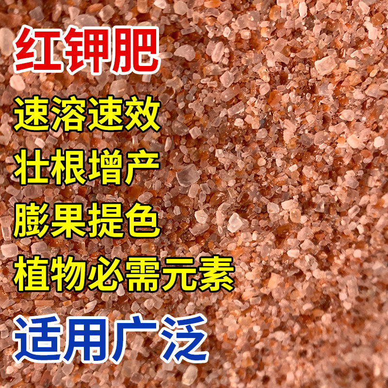 进口红氯化钾促花促果通用肥料红钾肥农用高钾颗粒速溶花卉果蔬肥,淘宝优惠券,粉丝福利购,淘宝优惠卷