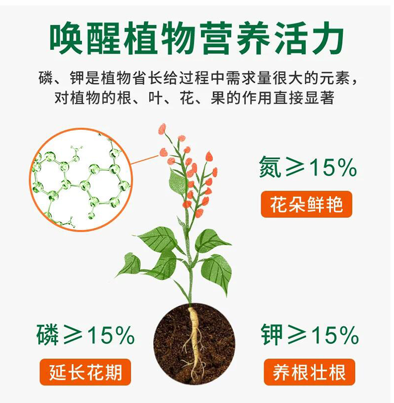 家用尿素盆栽氮肥磷肥钾肥缓释复合肥通用型化肥花卉花肥盆栽-图2